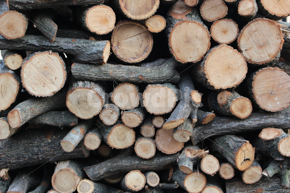 목재,재료,장작,더미,나무,나무,trees,wood