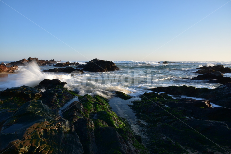 파도,물결,windwave,첨해파,해변,밀물,썰물,자연,풍경,nature,landscape,plant,식물,algae,조류,promontory,곶