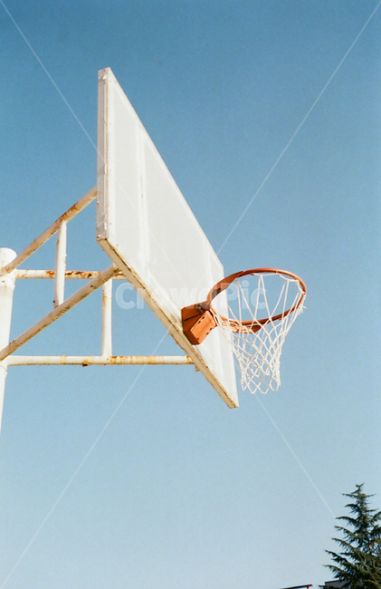 농구대,농구,필름사진,농구골대,감성사진,스포츠,레저,운동,sports,leisure,exercise,감성,sensible,feeling