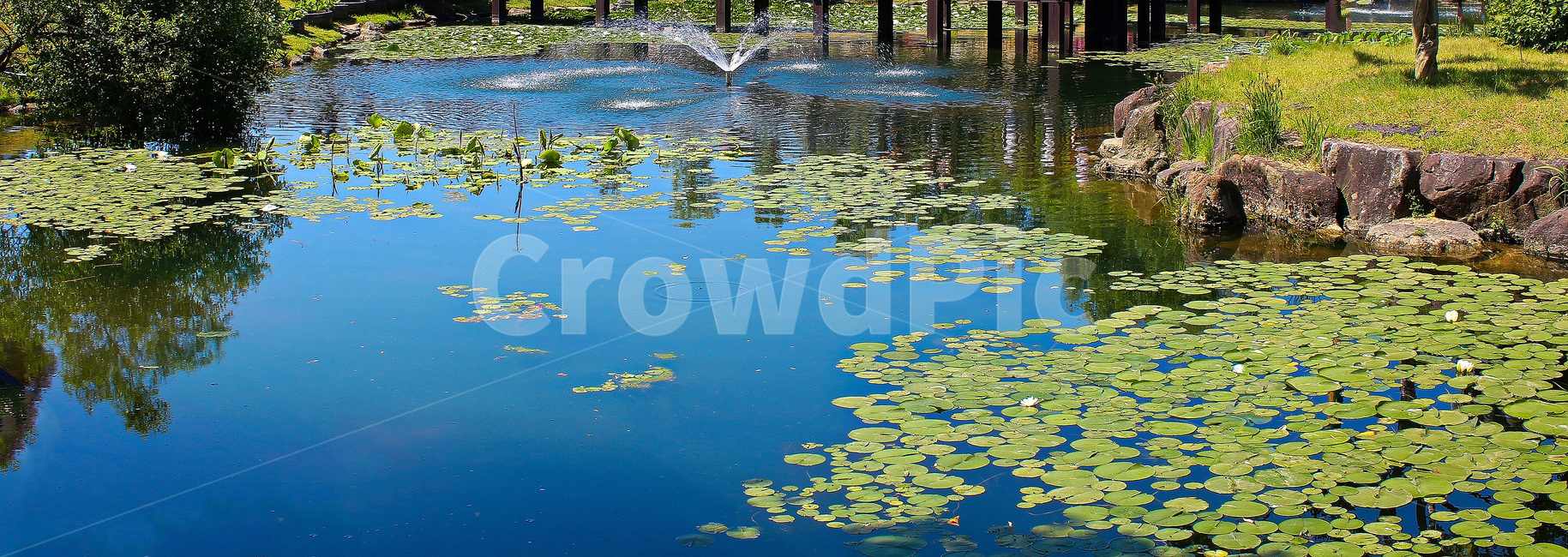 연못,연꽃,자연,물,경치,풍경,water,nature,outdoors,자연,풍경,nature,landscape,옥외,land,땅
