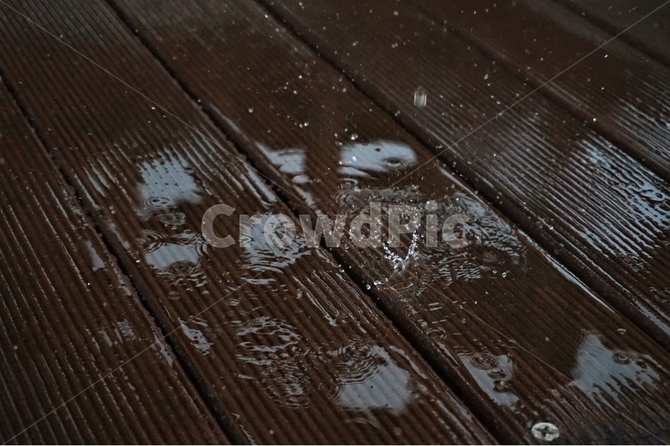 비,나무바닥,빗물,웅덩이,근접사진,왕관,공원,산책,비,비오는날,rain,rainy