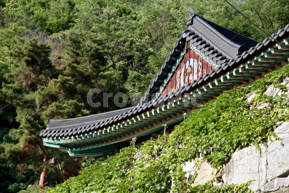 기와,지붕,절,사찰,사찰기와,사찰지붕,roof,temple