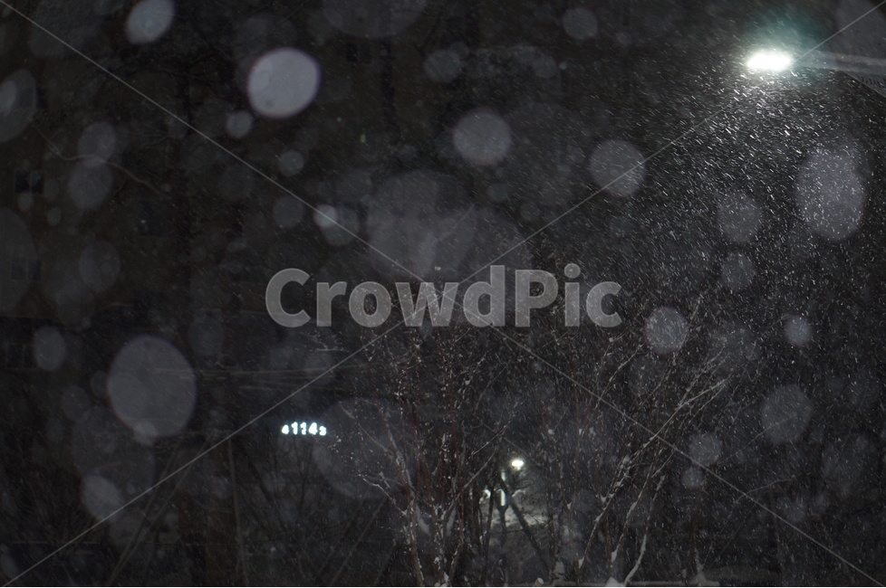 눈,야경,보케,밤,겨울,풍경,겨울,계절,winter,season
