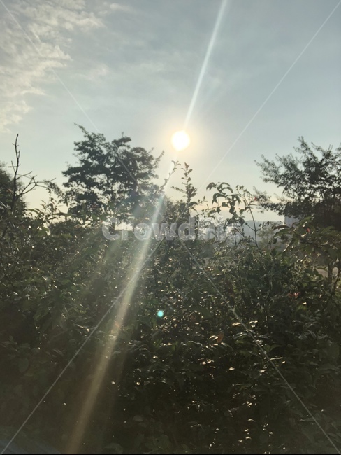 한강,한강일출,잠실한강,여름,가을,노란색,자연,풍경,nature,landscape,light,빛,flare,플레어,sunlight,햇빛