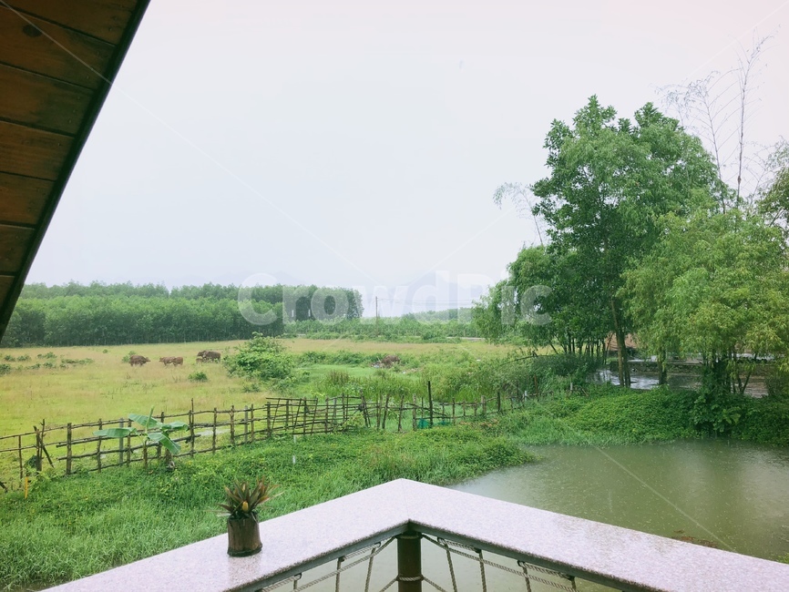outdoors,옥외,railing,난간,초원