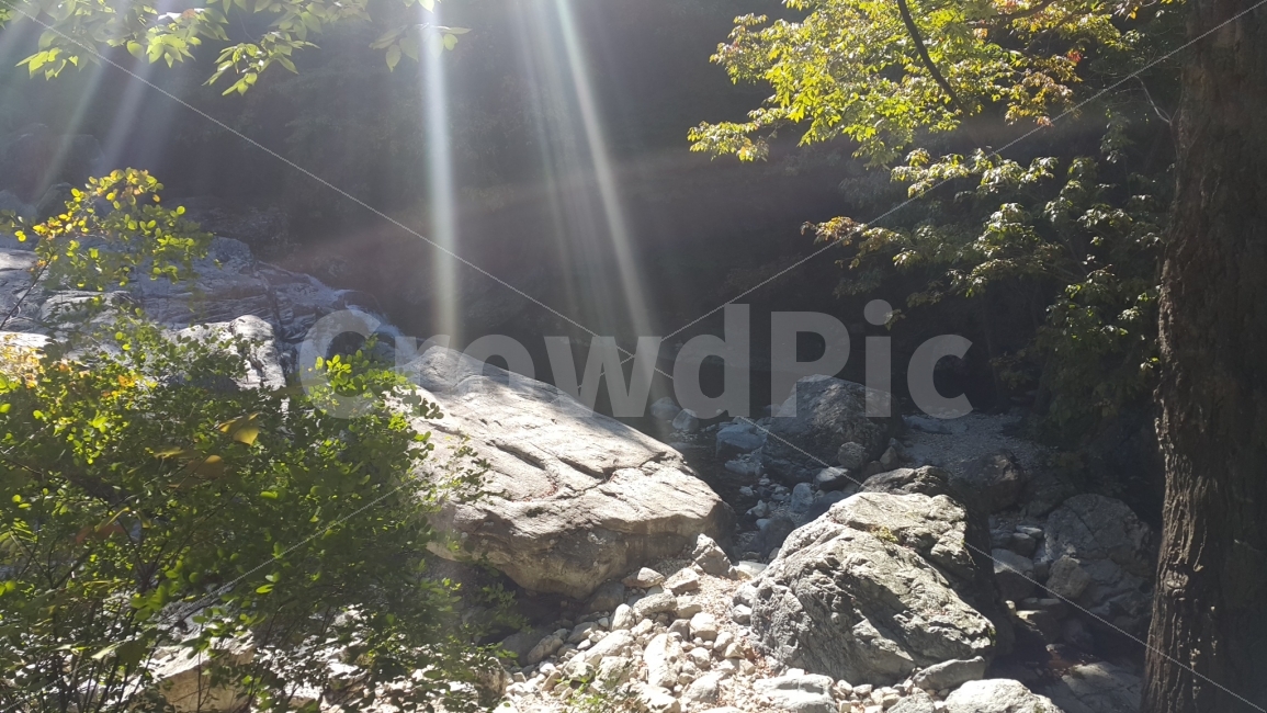 빛내림,바위,풍경,냇물,자연,힐링,rock,자연,풍경,nature,landscape,여름,계절,summer,season,light,빛,flare,플레어,sunlight,햇빛
