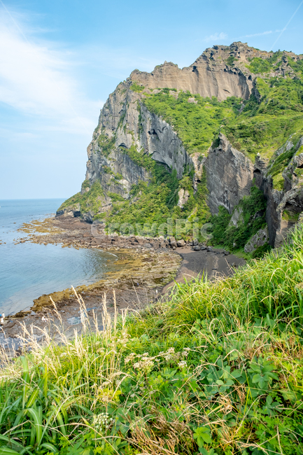 제주,제주도,섬,자연,풍경,경치,아름다운풍경,아름다움,nature,land,outdoor,바다,산,성산일출봉,풀,들판,cliff,자연,풍경,nature,landscape,제주도,jeju,jeju island,promontory,곶,outdoors,옥외,낭떠러지