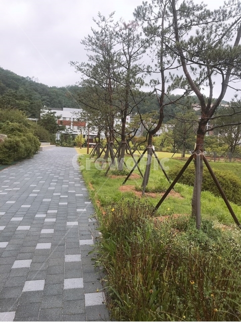 흐린,공원,선선한,한적한,나무,보도블록