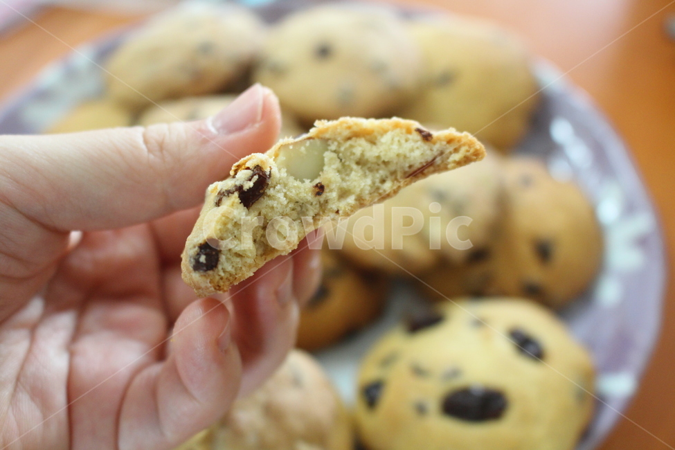 쿠키,간식,비스킷,과자,cookie,음식,식재료,요리,food,cook,meal,dishes,food reserves,디저트,간식,후식,dessert,snack