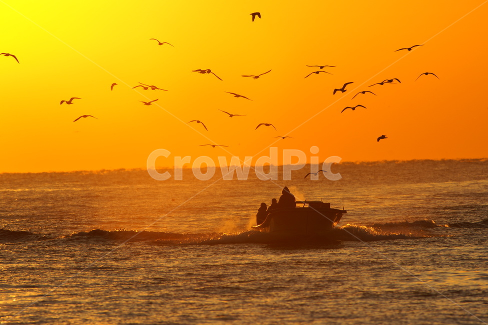 만선,일출,어부,바다,해무,산업,industry,industrial,어업,fishery,fishing industry
