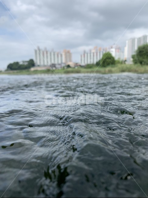 자연,강,강물,물결,river