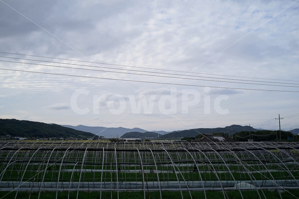 스냅,시골,논,감성,소니,rx1,시골,마을,풍경,landscape,country,rural,town,산업,industry,industrial,농업,농사,agriculture,farming,farming industry
