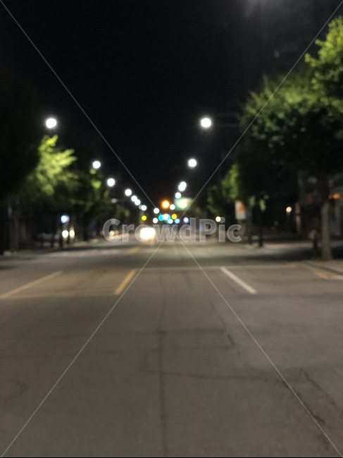 도로,밤길,새벽,여름밤,여름