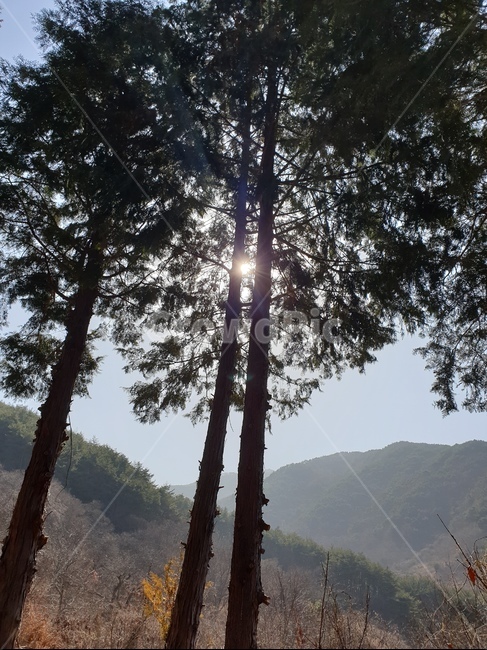 하동,산,나무,빛,힐링