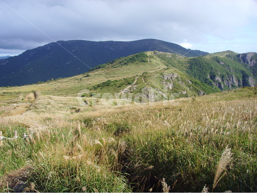 산,영남알프스,신불산,간월산,영축산,갈대,가지산,자연,풍경,nature,landscape,한국자연풍경,한국자연경관,korea nature landscape,outdoors,옥외,hill,언덕