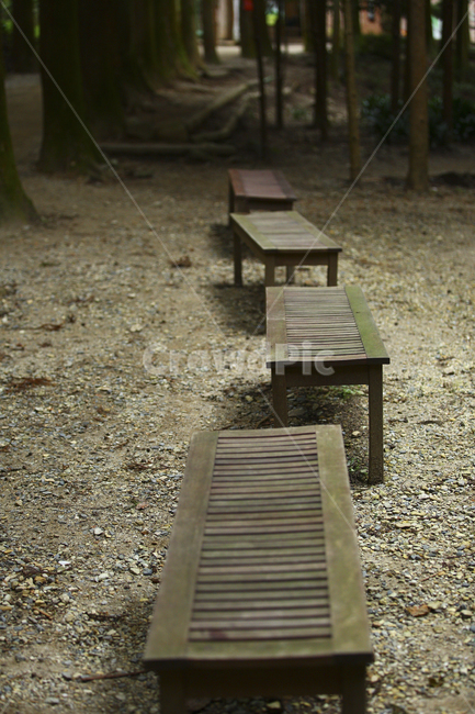 길,나무,의자,사람,숲길,의자모양,나무의자,자연,풍경,nature,landscape,gravel,자갈,road,도로,dirt road,흙길,bench,벤치