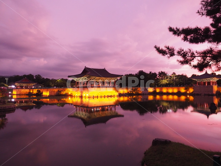 경주,안압지,야경,관광지,연못,야경,밤,풍경,nightscape,night,landscape,한국전통,한국문화,korean traditional,korean culture,랜드마크,landmark,tourist attraction,한국랜드마크,한국관광지,한국명소,korea landmark,korea tourist attraction,건축물,건물외관,exterior,building,structure,architecture,construction,건물,nature,자연