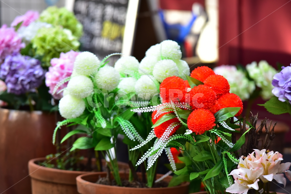 조화,화분,화초,꽃,꽃잎,플라워,flower