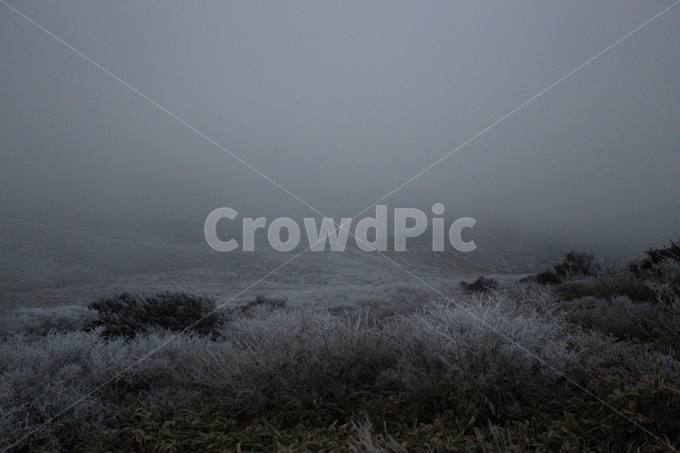 한라산,제주도,산,상고대,자연,숲,겨울,눈,눈꽃,snow