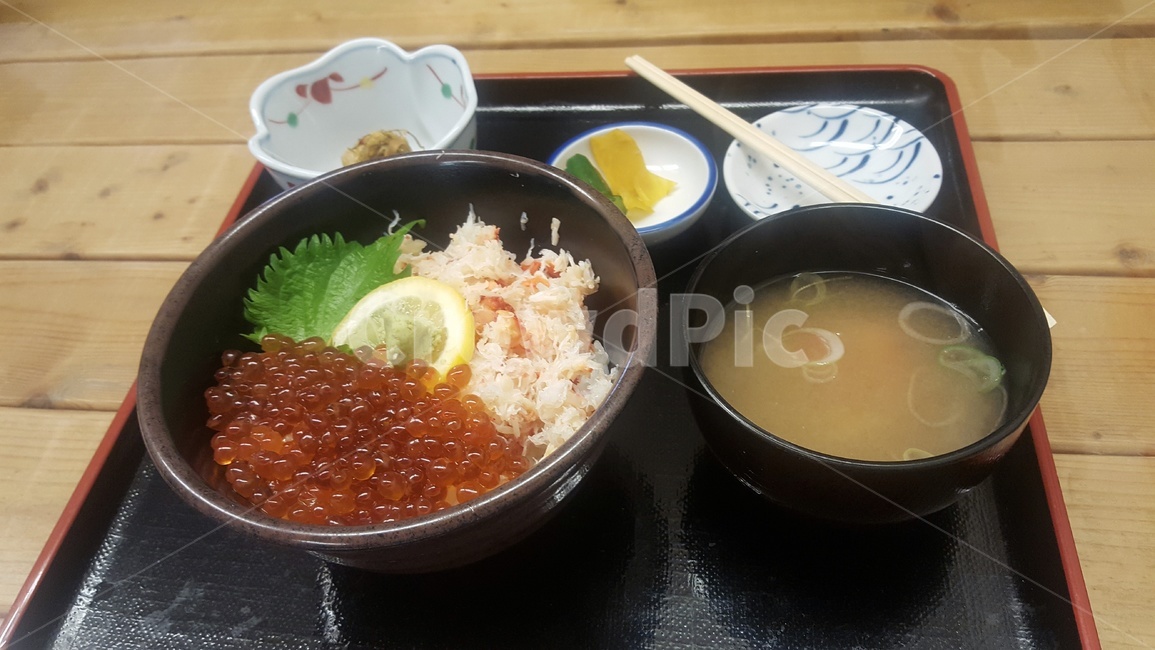 일식,홋카이도,해산물덮밥,일본요리,카이센동,food