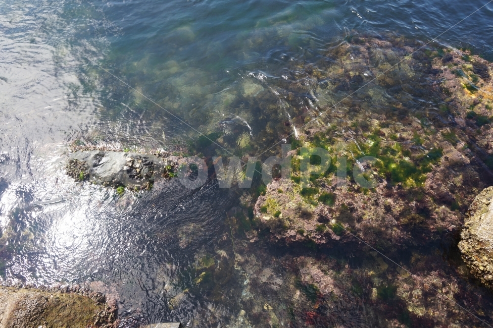 바다,바닷가,물,돌,여행,sea,water,해안,coast,shore,seaside,stone,trip,travel,자연,풍경,nature,landscape,outdoors,옥외