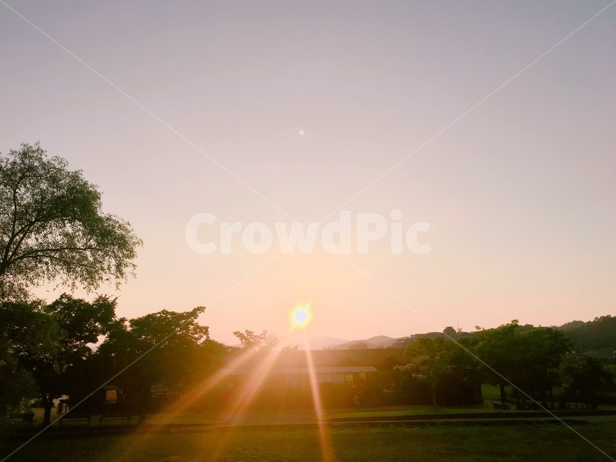 노을,자연,햇빛,나무,색감,자연,풍경,nature,landscape,light,빛,flare,플레어,sunlight