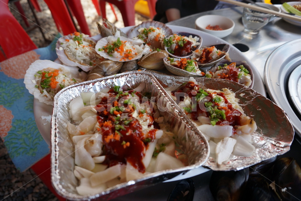조개,조개구이,먹방,해산물,구이,음식,식재료,요리,food,cook,meal,dishes,food reserves,수산물,해산물,fishery products,seafood,한식,한국음식,한국요리,korean food,korean dishes,korean meal,korean cook