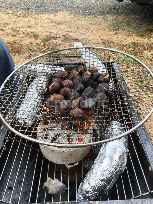 캠핑,고구마,연탄,군밤,가족,chestnut,sweetpotato,camping,음식,식재료,요리,food,cook,meal,dishes,food reserves