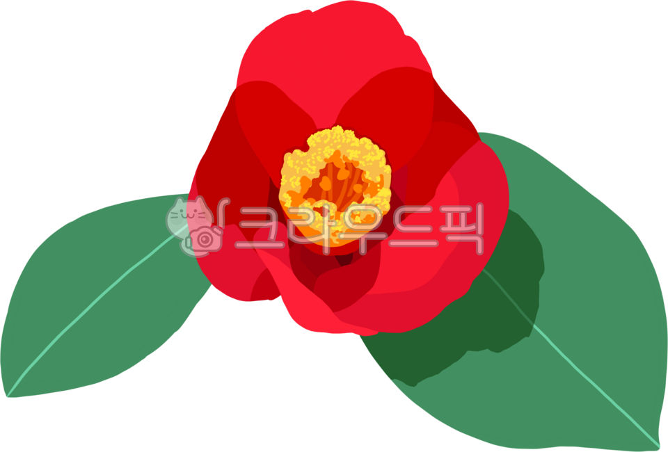 동백꽃,빨강,자연,꽃,초록,camellia,flower,camelliaflower,동백,붉은꽃,빨간꽃,카멜리아,우아한,단아한