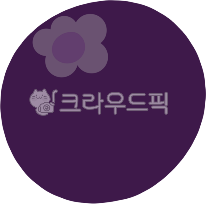 블루베리,과일,건강,눈건강,달콤함