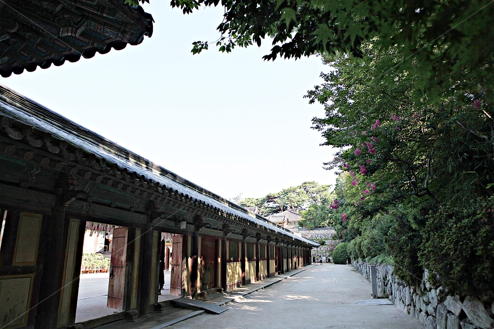 불국사,경주,절,사찰,국보,보물,전통,기와집,집,한옥