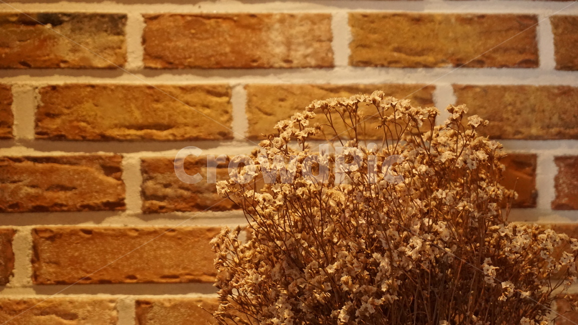 벽돌,조명,드라이플라워,안개꽃,인테리어,꽃,소품,감성,플라워,flowers,immotelle,interiordecoration,babysbreath