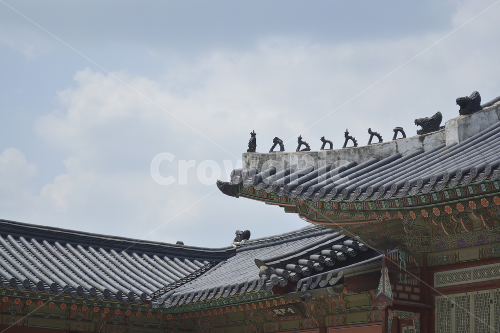 경복궁,전통,자연,궁,역사,고즈넉함,오래된