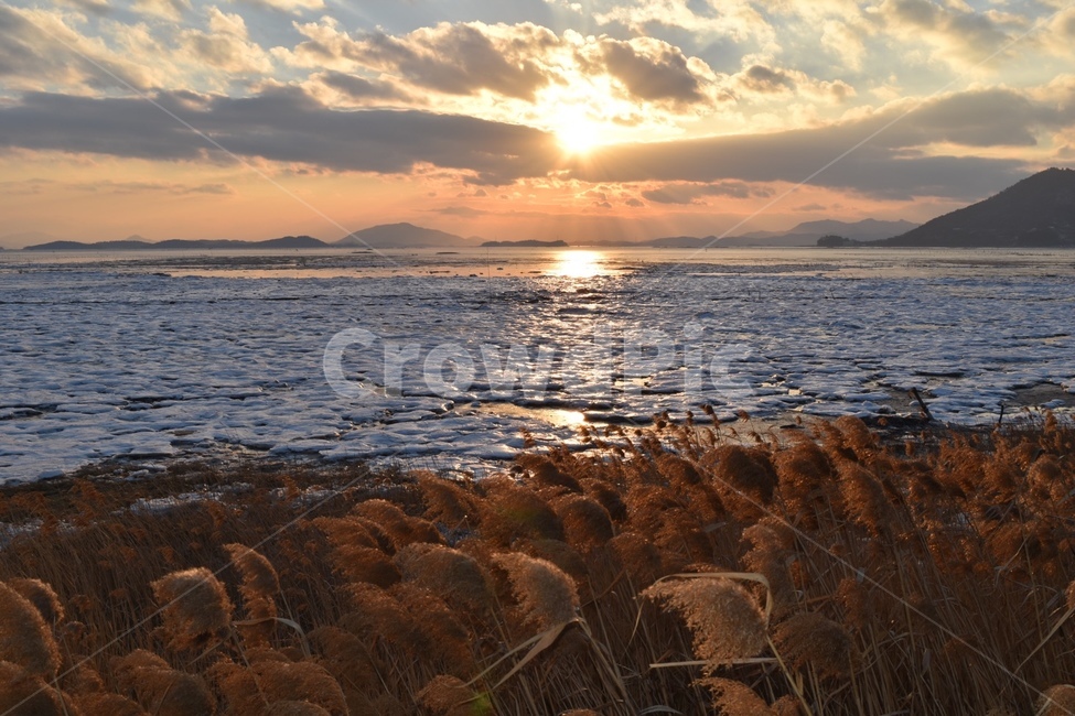 갈대,노을,바다,구름,일몰,자연,풍경,nature,landscape,grass,잔디,plant,식물,lawn