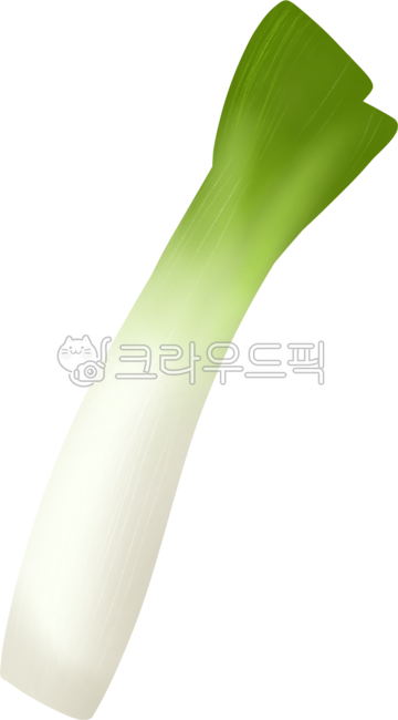 주방, 부엌, 요리, 식자재, 조리도구, 사진,이미지,일러스트,캘리그라피 - 최당당작가