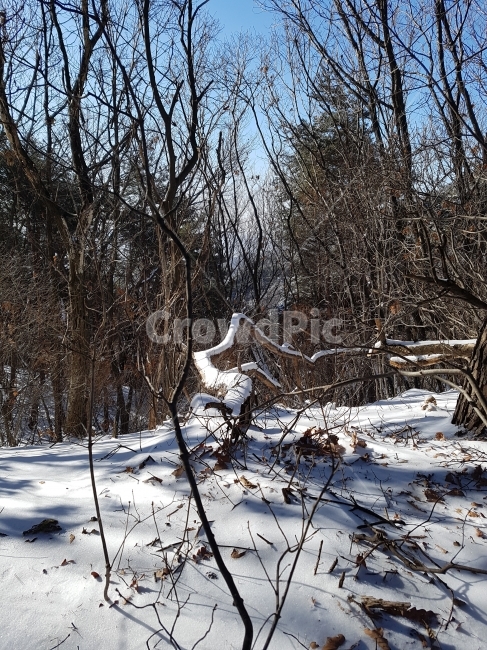 싸움,학,뱀,겨울,학과뱀,겨울,계절,winter,season,자연,풍경,nature,landscape,outdoors,옥외