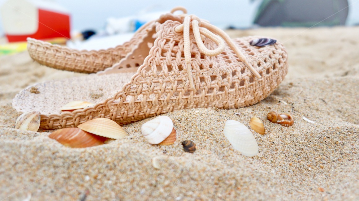 감성,sea,바다,신발,조개,여름,여름,계절,summer,season,사물,물건,오브젝트,thing,object,matter,snake,뱀,animal,동물