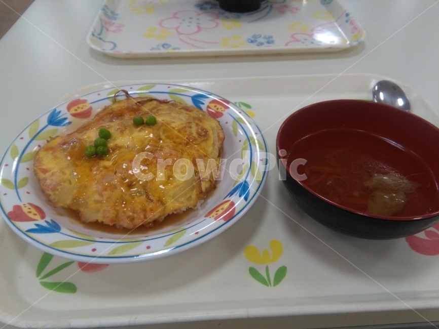 일본,도쿄,학식,요리,오므라이스,식사,음식,식재료,요리,food,cook,meal,dishes,food reserves