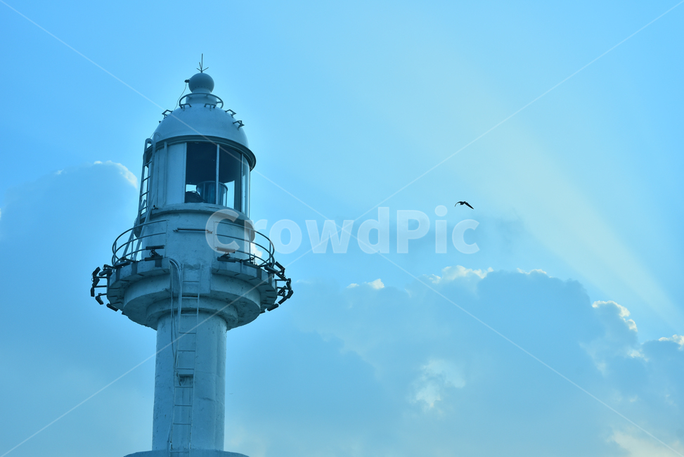 등대,풍경,길잡이,지킴이,시설물,lighthouse,새,조류,구름,하늘,빛내림,블루톤,해안가,바닷가,항로표지,길안내,이정표,building,건축물,architecture,tower,탑,등대,lighthouse