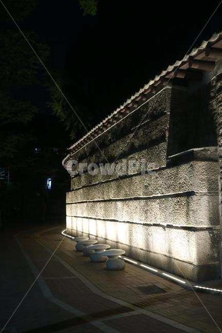 돌담길,밤,그림자,불빛,야경,나무,기와,덕수궁
