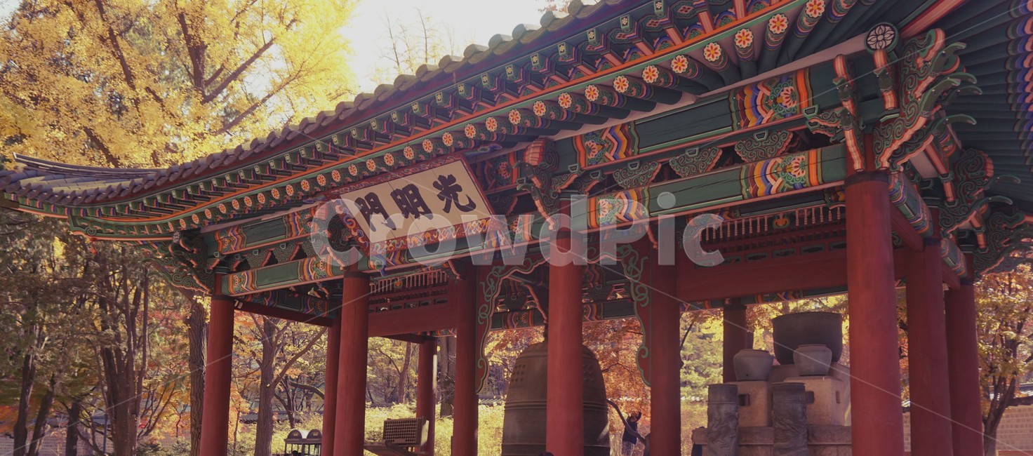 궁,덕수궁,기와,가을궁,가을,은행,은행나무,고즈넉,고즈넉함,궁궐,포근함,무르익은,익은,힐링