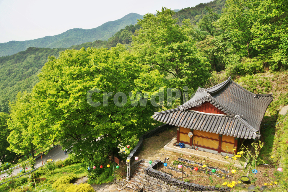 성불사,천안,태조산,사찰,문화재자료,도선국사,요사채,전각,신록,계절,한국전통,한국문화,korean traditional,korean culture,건축물,건물외관,exterior,building,structure,architecture,construction