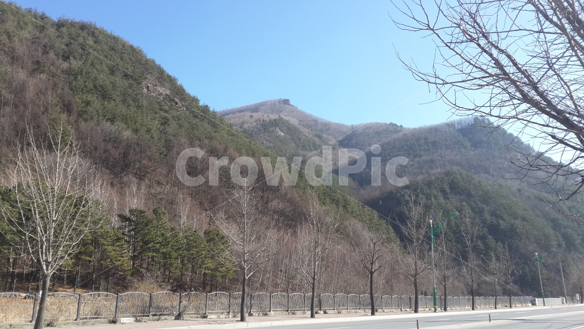 태백시,겨울풍경,풍경사진,여행,빈도로,겨울,계절,winter,season,자연,풍경,nature,landscape,tree,나무,plant,식물,outdoors,옥외,fir,전나무