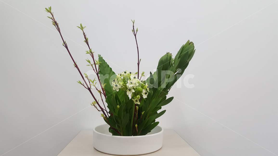 flowerarrangement,꽃꽂이,ikebana,이케바나,flower
