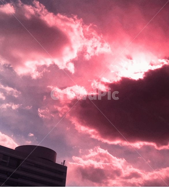 핑크,하늘,pink,sky,핑크하늘