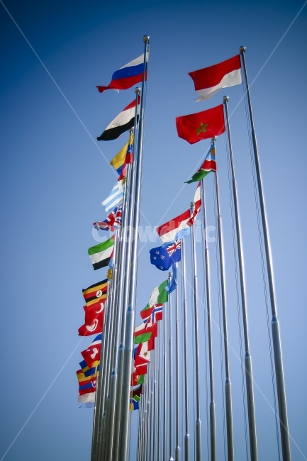 깃발,만국기,깃대,푸른하늘,도열,flagsofallnations,flags,bluesky,바람,wave,flap,flutter