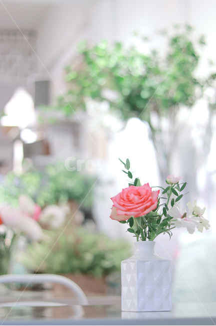꽃,장미,봄,카페,장식,꽃병,실내용화초,화분,화초,house plant,감성,sensible,feeling