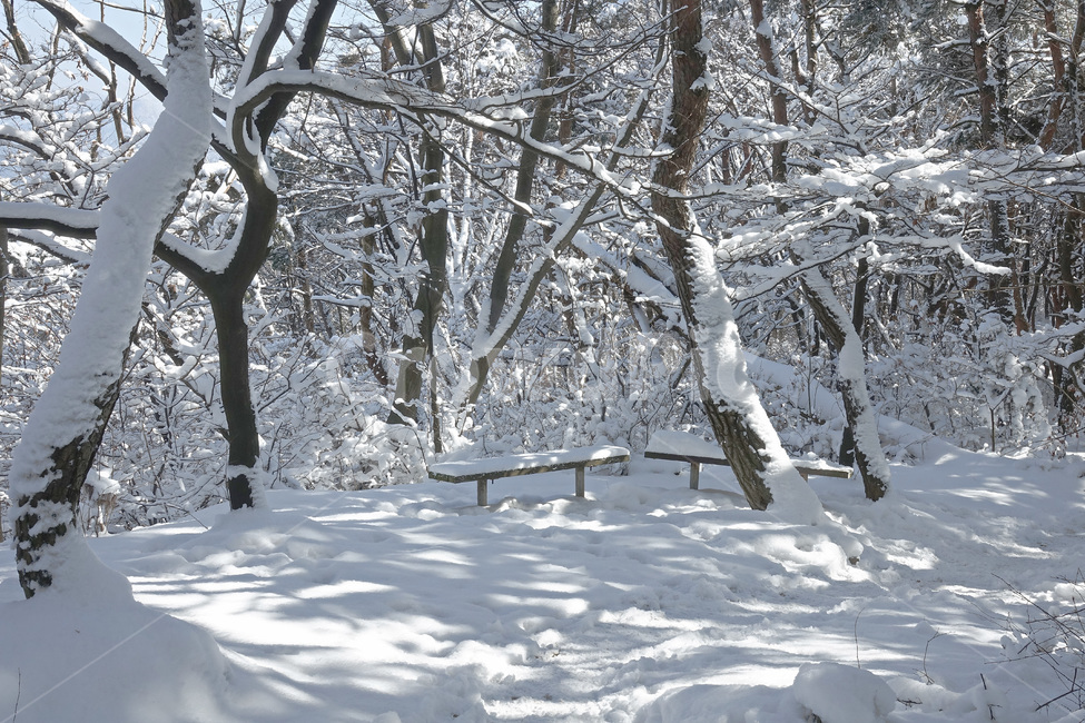 눈,설경,자연,겨울,눈꽃,snow,벤치,의자,등산로,winter,nature,전북의산,완주군,모악산,겨울,계절,winter,season