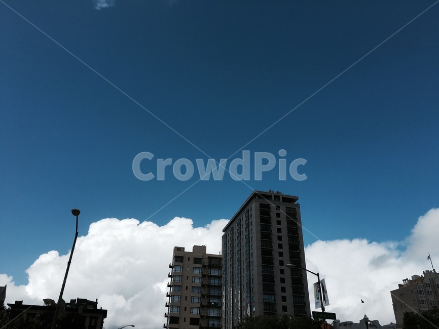 샌프란시스코,구름,건물,하늘,빌딩,뭉게구름,햇볕,cottoncandy,cotton,sanfrancisco,buildings,blue,sky,cloud