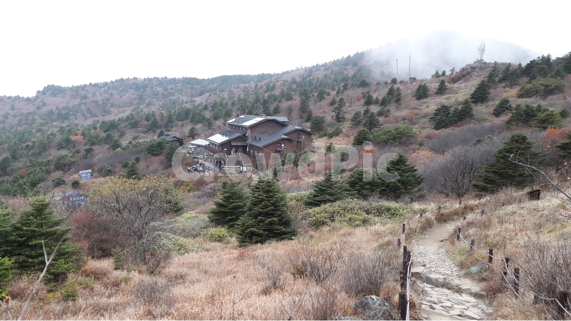 지리산,세석평전,대피소,국립공원,가을,자연,풍경,nature,landscape,한국자연풍경,한국자연경관,korea nature landscape,tree,나무,plant,식물,abies,아비,fir,전나무,outdoors,옥외